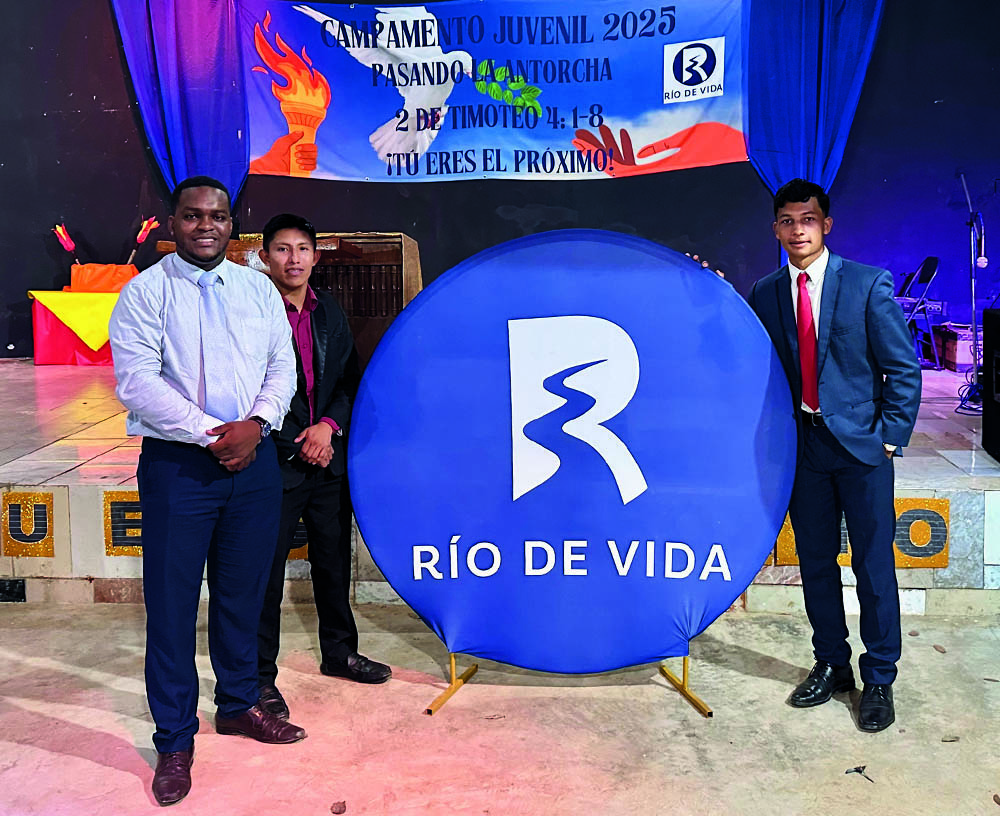 Interior Plants Dark Green Simple Newsletter Template (Newslette Rio de Vida